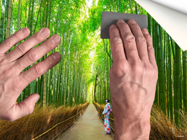 Fotomural Bambú de Arashiyama