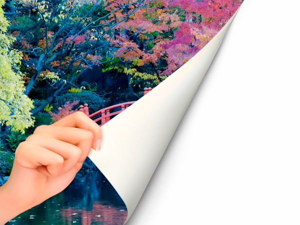 Fotomural Puente Japonés