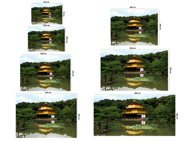 Fotomural Jardín Japonés