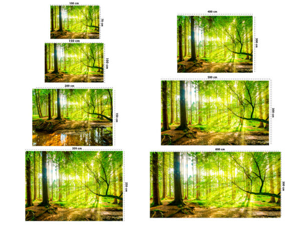 Fotomural Vinilo Bosque Primavera