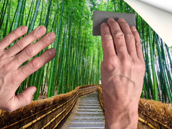 Fotomural Vinilo Zen Bosque Bambú