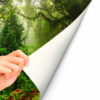Fotomural Vinilo Bosque Selva
