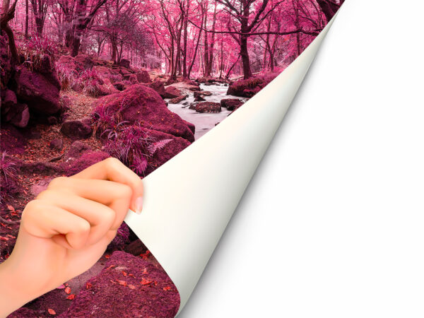 Fotomural Vinilo Bosque Rosa
