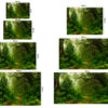 Fotomural Vinilo Bosque Selva