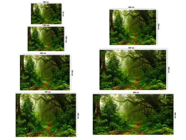Fotomural Vinilo Bosque Selva