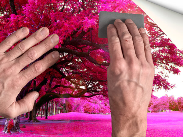 Fotomural Vinilo Árbol Ramas Rosas