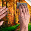 Fotomural Vinilo Bosque Otoño