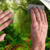 Fotomural Vinilo Bosque Selva