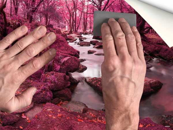 Fotomural Vinilo Bosque Rosa