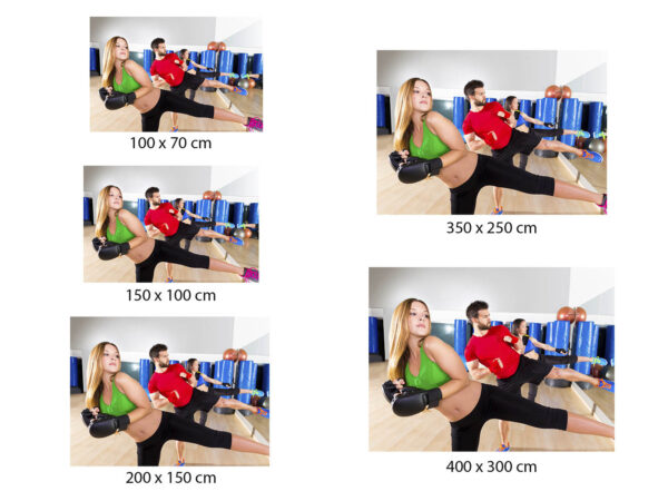 Fotomural Gimnasio Clase Cardio Punch Patadas