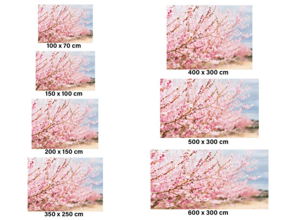 Fotomural Vinilo Ramas Almendros