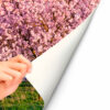 Fotomural Vinilo Almendros en Flor