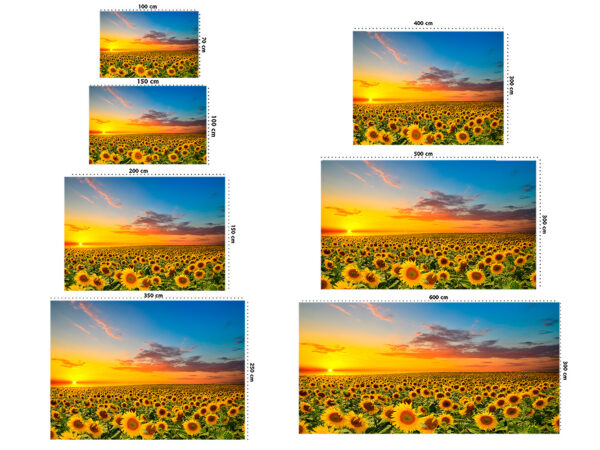 Fotomural Vinilo Atardecer de Girasoles