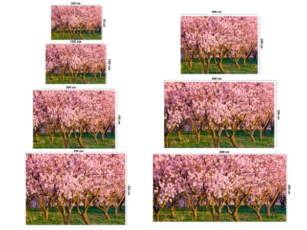 Fotomural Vinilo Almendros en Flor