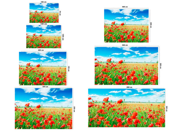 Fotomural Vinilo Campo de Amapolas