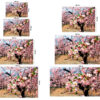 Fotomural Vinilo Flores Almendro