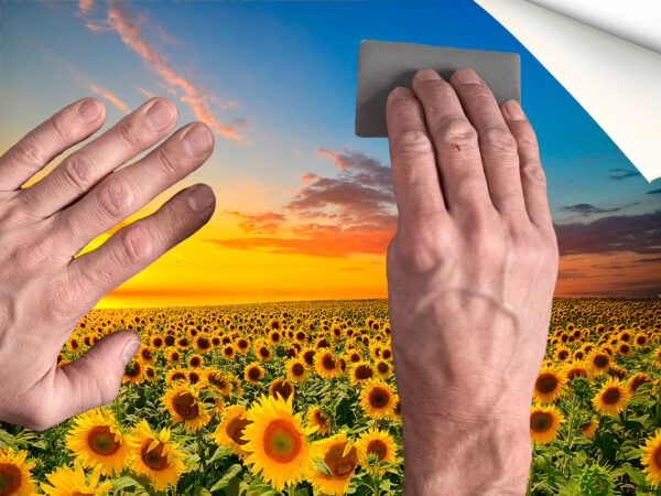 Fotomural Vinilo Atardecer de Girasoles