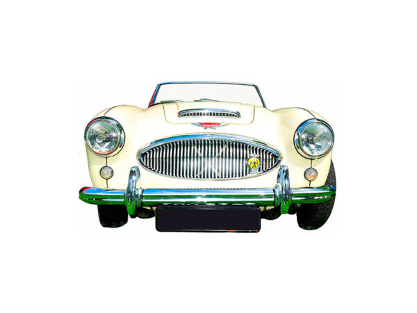 Photocall Austin Healey