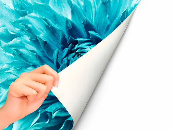 Fotomural Vinilo Flor Turquesa