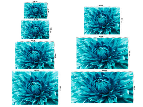 Fotomural Vinilo Flor Turquesa