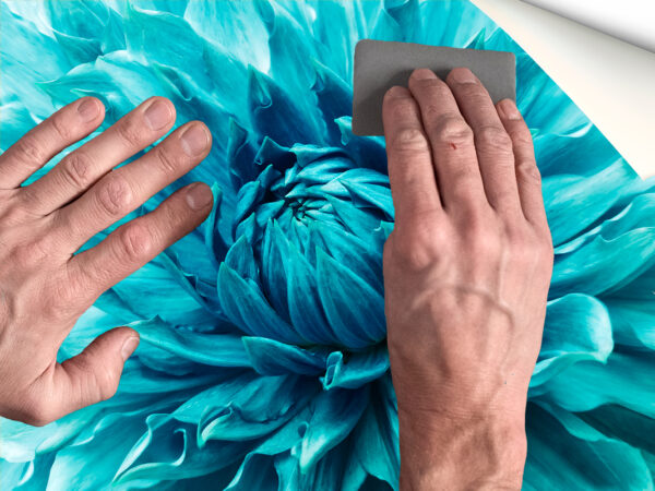 Fotomural Vinilo Flor Turquesa