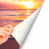 Fotomural Vinilo Atardecer Rosado en Playa