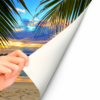 Fotomural Vinilo Amanecer Playa Tropical