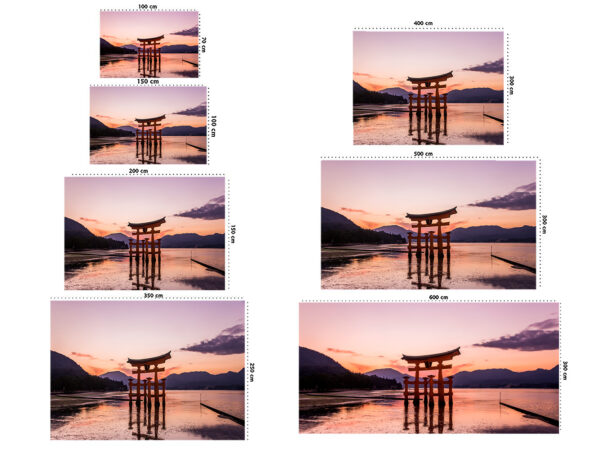 Fotomural Vinilo Amanecer Puerta Torri Japón