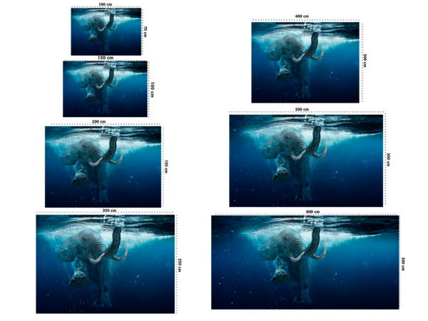 Fotomural Vinilo Elefante en el Mar