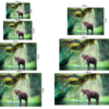 Fotomural Vinilo Elefante Bosque Tailandia