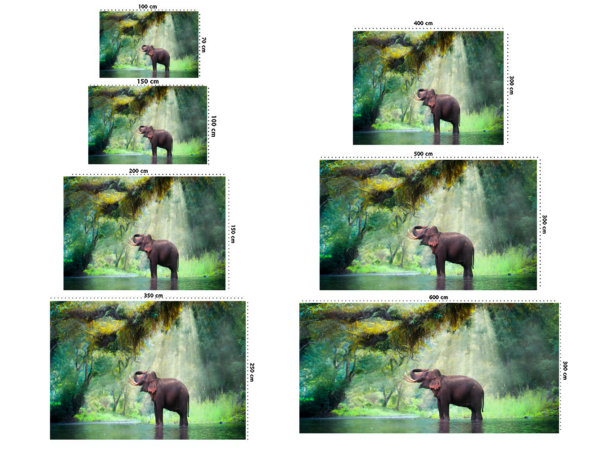 Fotomural Vinilo Elefante Bosque Tailandia