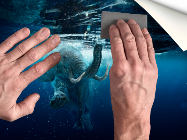 Fotomural Vinilo Elefante en el Mar