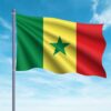 Bandera de Senegal