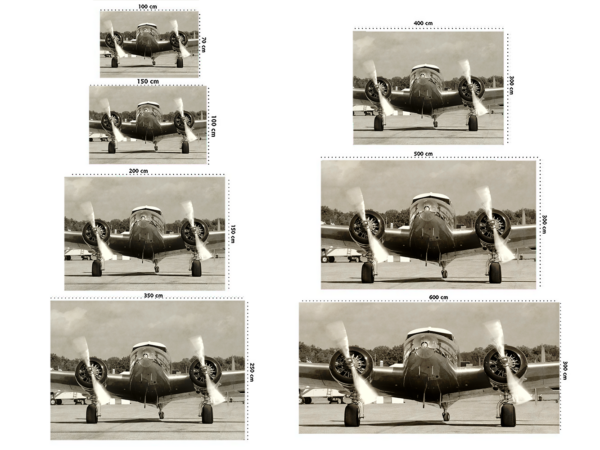 Fotomural Avión Antiguo