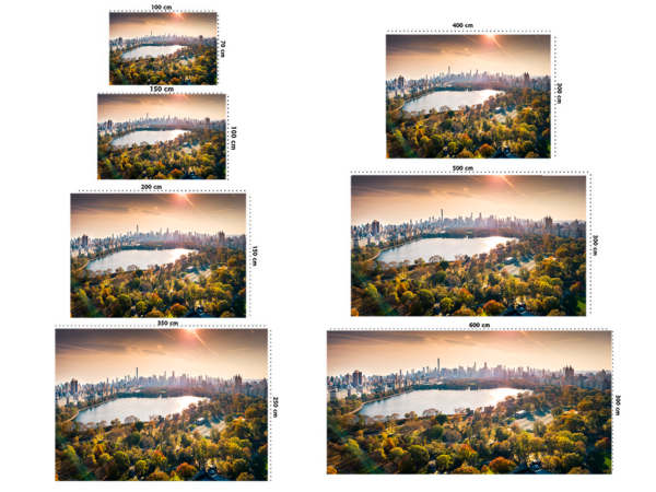 Fotomural Central Park Amanecer