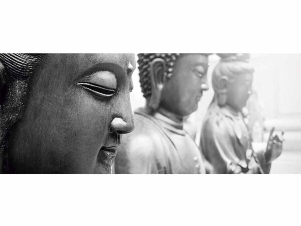 Papel Pintado Budas
