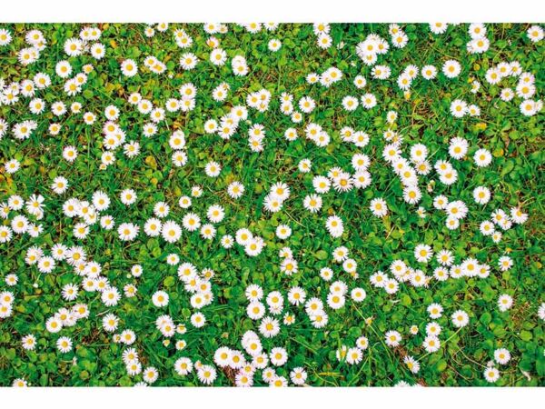 Alfombra PVC Estampado Margaritas