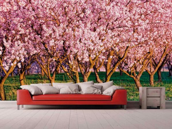 Fotomural Vinilo Almendros en Flor