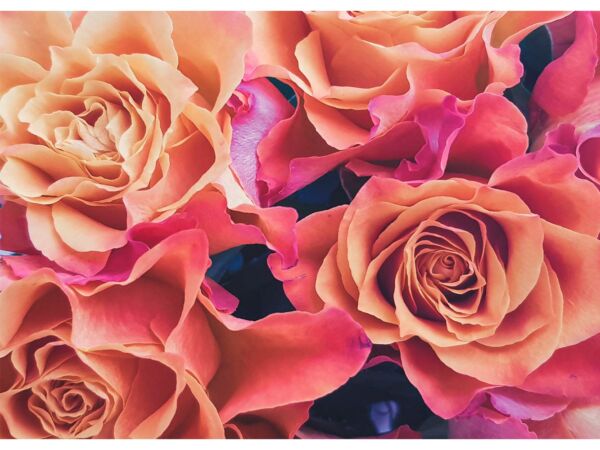 13-vinilo-lavadora-estampado-rosas-1 (1)