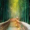 Papel Pintado Escaleras Bambú