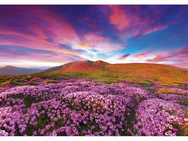 Fotomural Vinilo Montaña Floral Morada