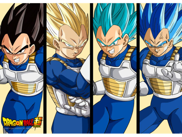 Fotomural Dragon Ball Transformaciones Vegeta frontal