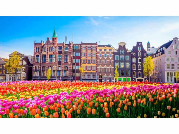 Papel Pintado Tulipanes Ciudad