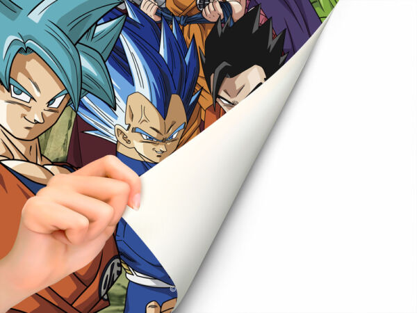 Fotomural Dragon Ball Super Personajes pegado