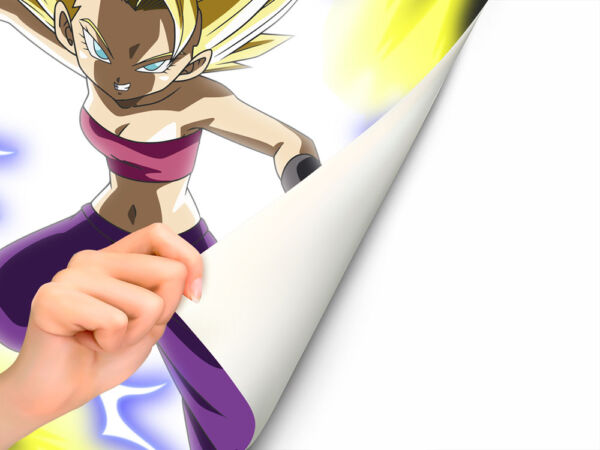 Fotomural Dragon Ball Kefla y Kale pegado