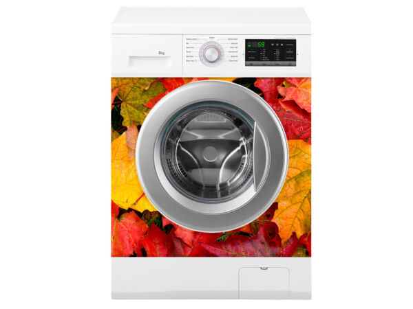 7-vinilo-lavadora-hojas-otoñales-1 (4)