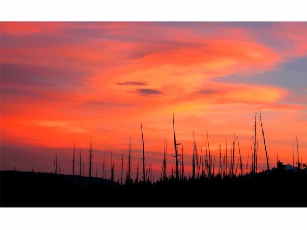 Papel Pintado Atardecer Anaranjado