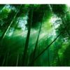 Vinilo Frigorífico Bosque Bambú