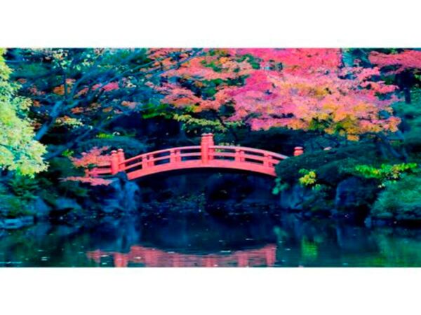 Fotomural-Puente-Japones2