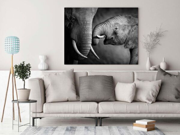 Cuadro Elefante y Cría
